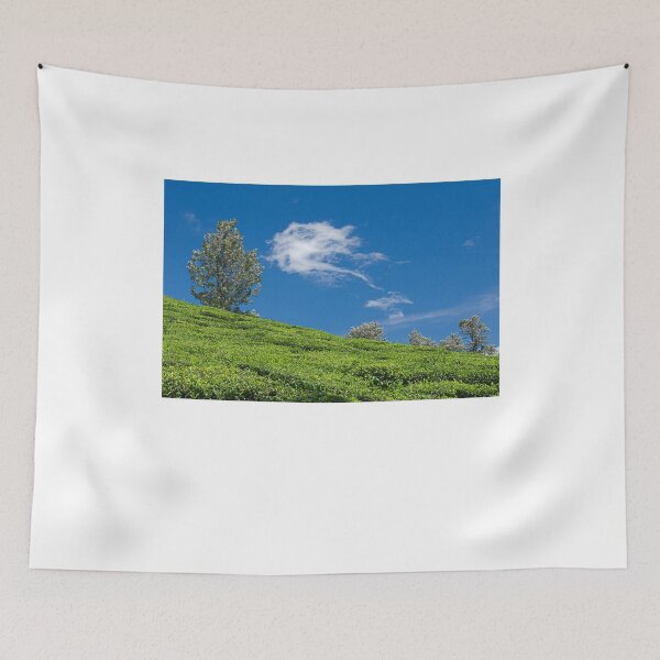 Item preview, SSK 9217 Towards The Sky. Color designed and sold by Sunil Kapadia.