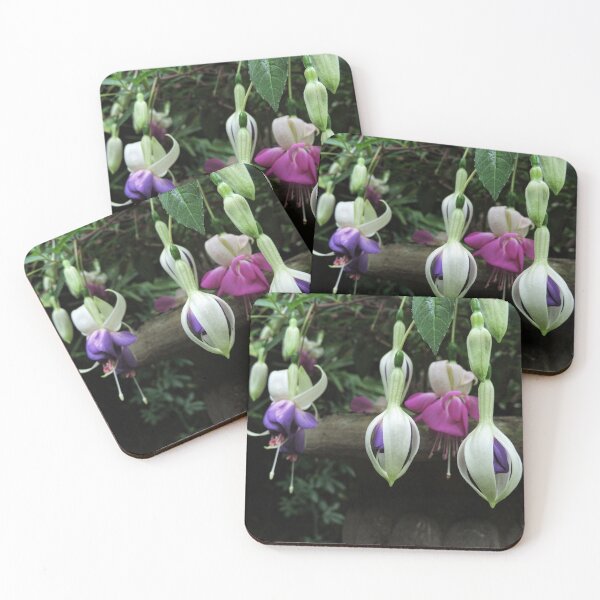 Item preview, 'Blue Angel' Fuchsia designed and sold by Marilyn Harris.