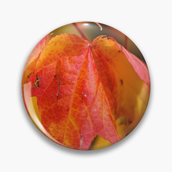 Item preview, Autumn Leaves Of Ageing  designed and sold by Joy Watson - Natural Light Photography .