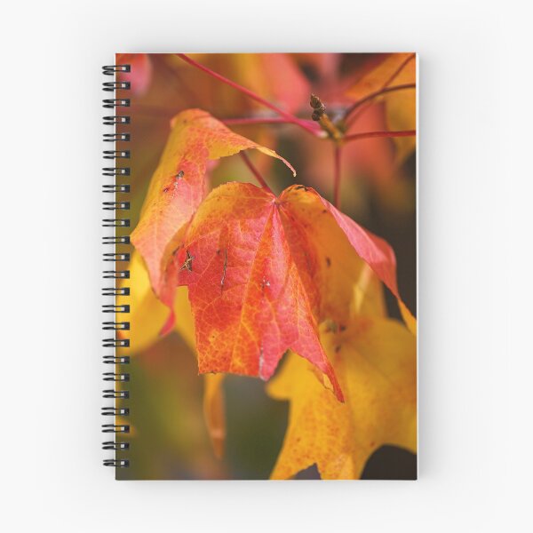Item preview, Autumn Leaves Of Ageing  designed and sold by Joy Watson - Natural Light Photography .