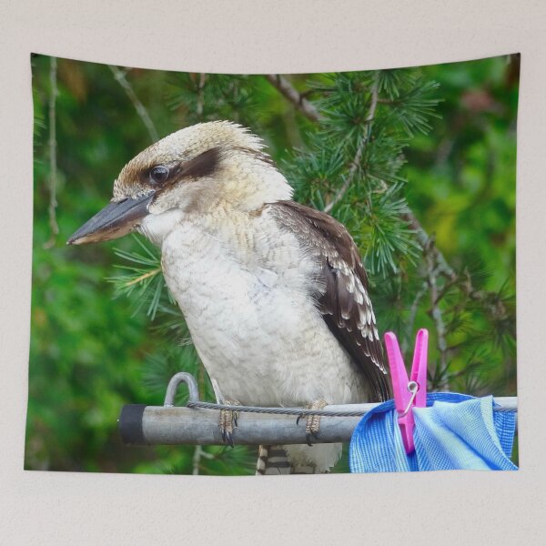Item preview, Kookaburra on the Clothesline designed and sold by Mickangelhere.