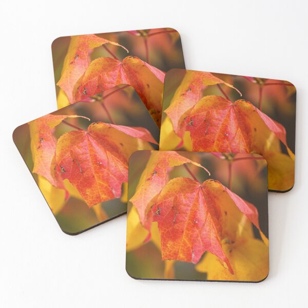 Item preview, Autumn Leaves Of Ageing  designed and sold by Joy Watson - Natural Light Photography .
