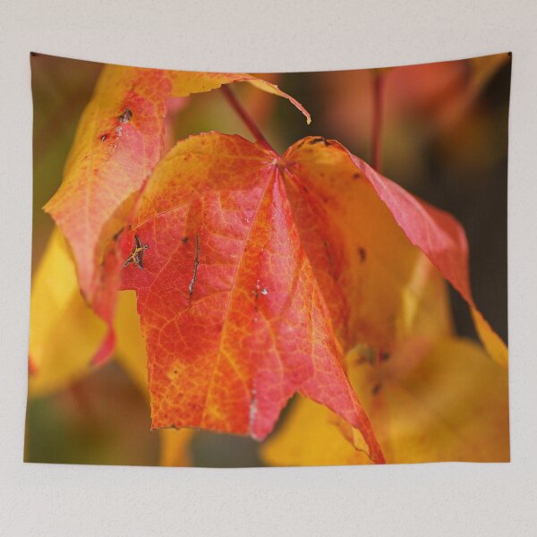 Item preview, Autumn Leaves Of Ageing  designed and sold by Joy Watson - Natural Light Photography .