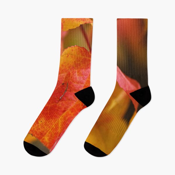Item preview, Autumn Leaves Of Ageing  designed and sold by Joy Watson - Natural Light Photography .