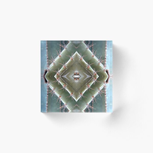 Cactus Acrylic Block