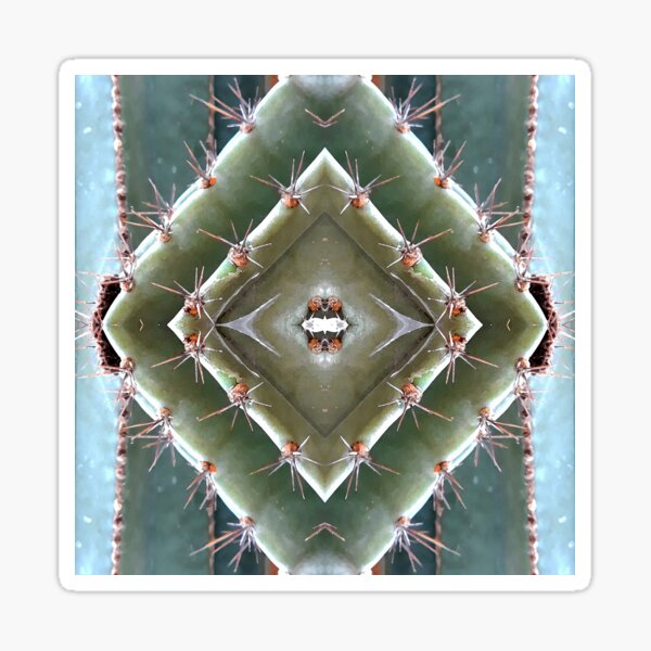 Cactus Sticker