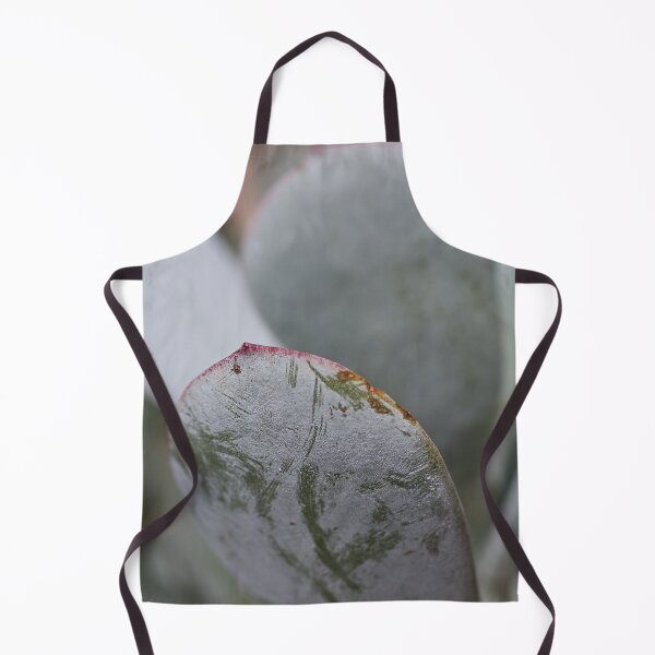 Item preview, Soft Succulent Lines designed and sold by Joy Watson - Natural Light Photography .