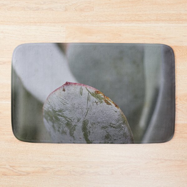 Item preview, Soft Succulent Lines designed and sold by Joy Watson - Natural Light Photography .