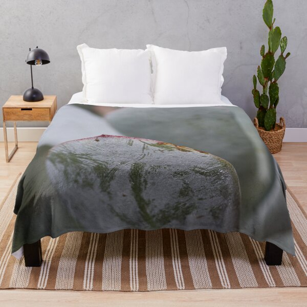 Item preview, Soft Succulent Lines designed and sold by Joy Watson - Natural Light Photography .
