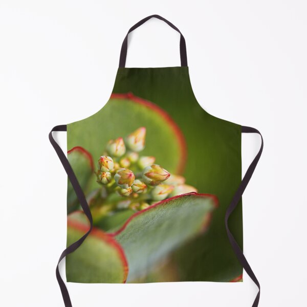 Item preview, Green Succulent With Buds designed and sold by Joy Watson - Natural Light Photography .