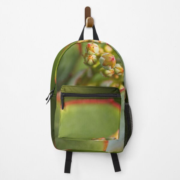 Item preview, Green Succulent With Buds designed and sold by Joy Watson - Natural Light Photography .