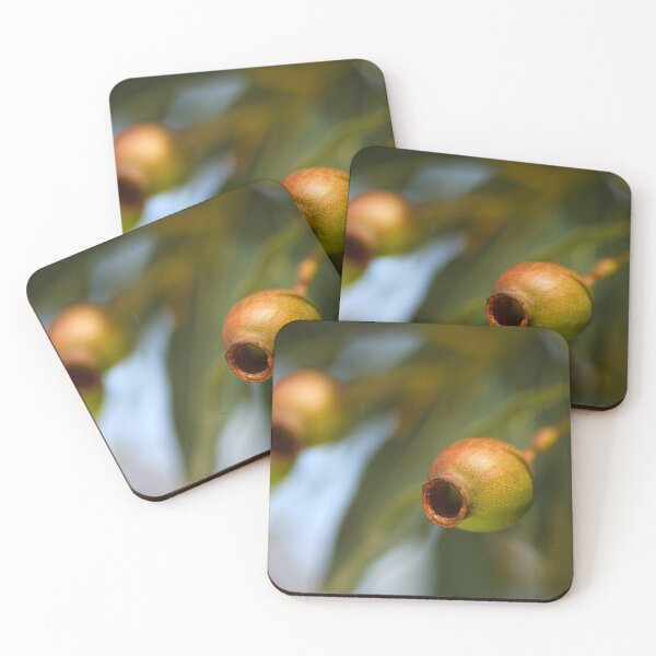 Item preview, Australian Gumnuts During April designed and sold by Joy Watson - Natural Light Photography .