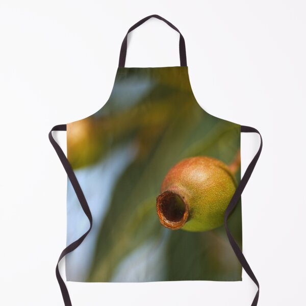 Item preview, Australian Gumnuts During April designed and sold by Joy Watson - Natural Light Photography .