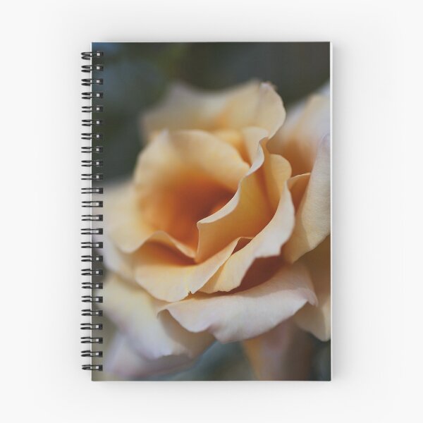 Item preview, Dreaming Of Coffee Rose designed and sold by Joy Watson - Natural Light Photography .
