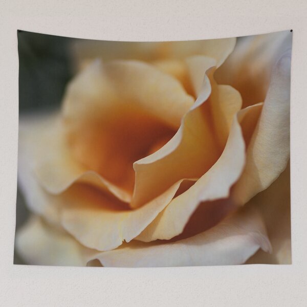 Item preview, Dreaming Of Coffee Rose designed and sold by Joy Watson - Natural Light Photography .