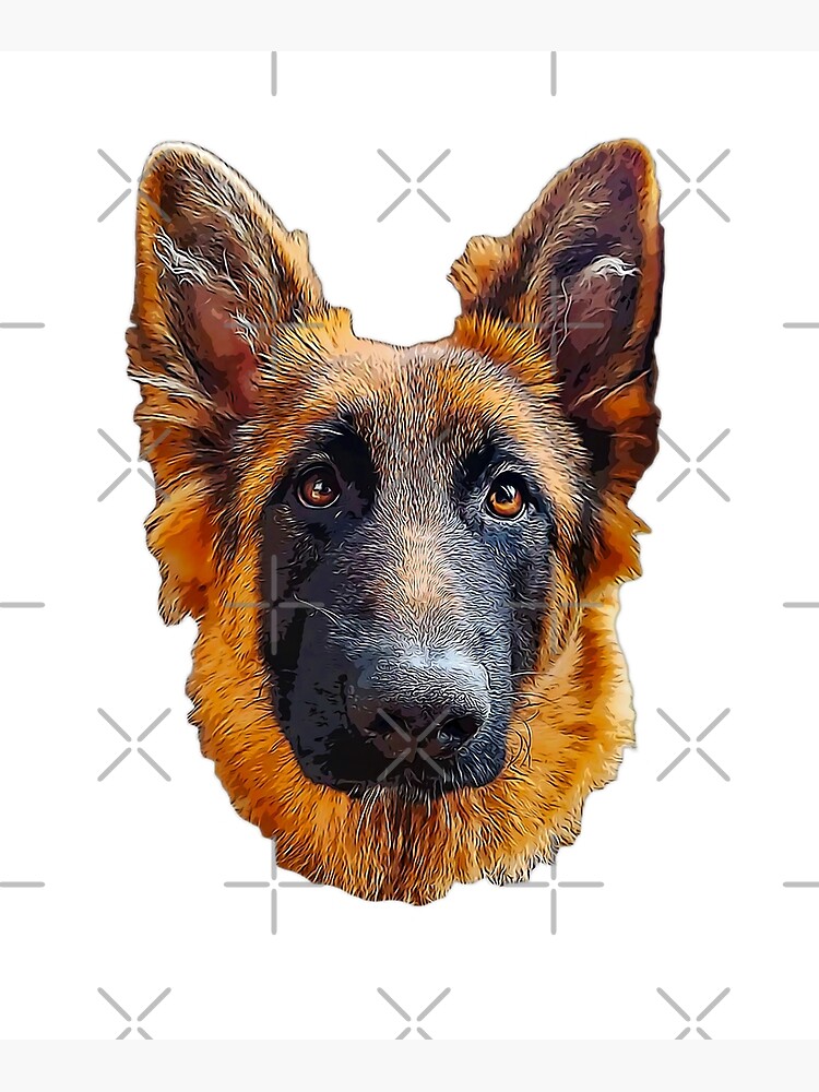 Lsc store german shepherd