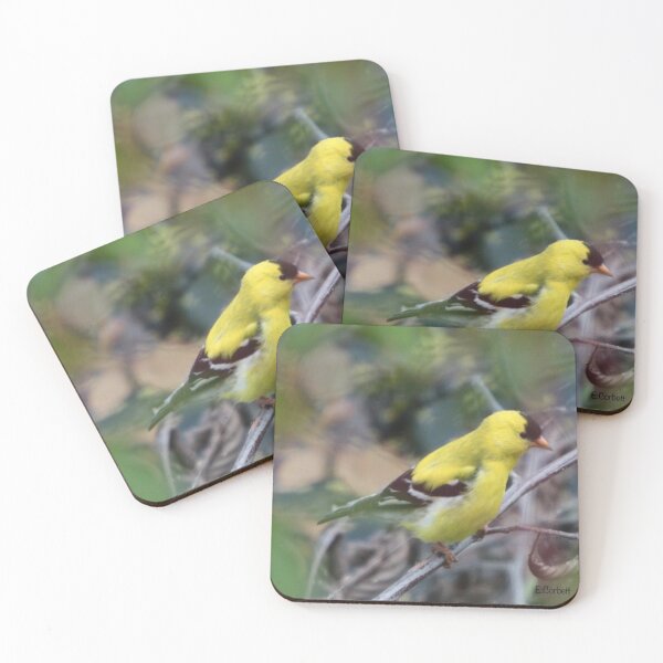 Item preview, American Goldfinch designed and sold by Penwortham.