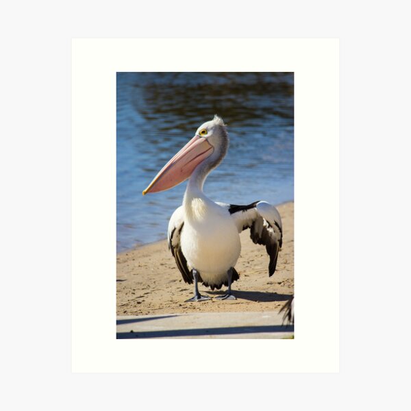 Item preview, Under my Wing... designed and sold by Chris Kean.