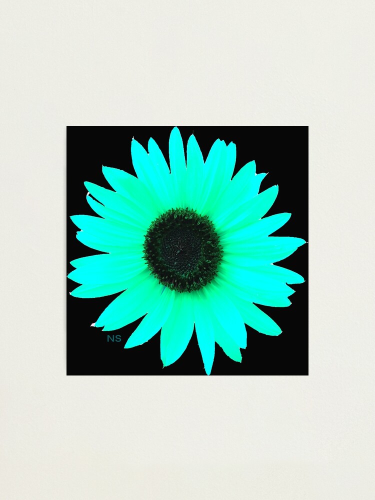 Lámina fotográfica «Girasoles Neon Green» de Lamirabelle | Redbubble