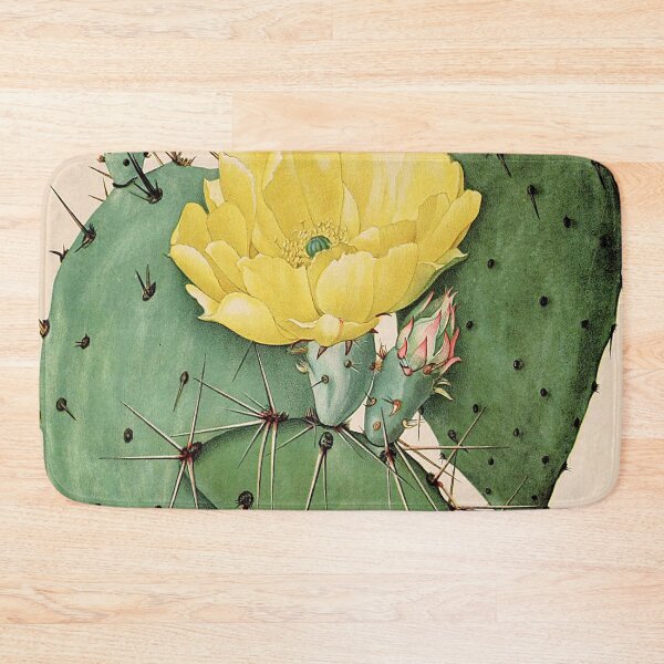 Item preview, Vintage botanical illustration - The Cactaceae - Britton and rose plate 25  designed and sold by Gardenlibrary.