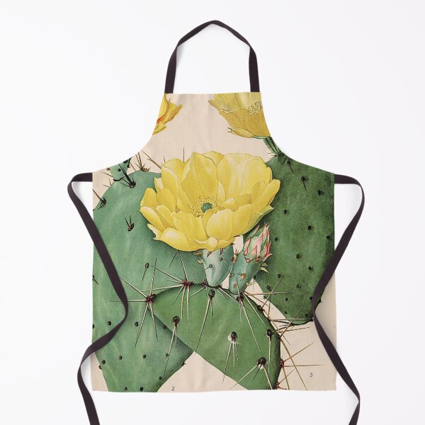 Item preview, Vintage botanical illustration - The Cactaceae - Britton and rose plate 25  designed and sold by Gardenlibrary.