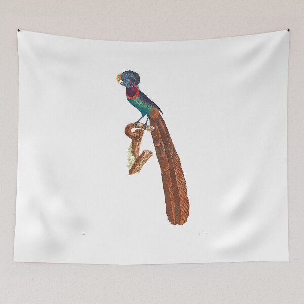 Item preview, Copie de Bird-of-paradise designed and sold by Photopicture.