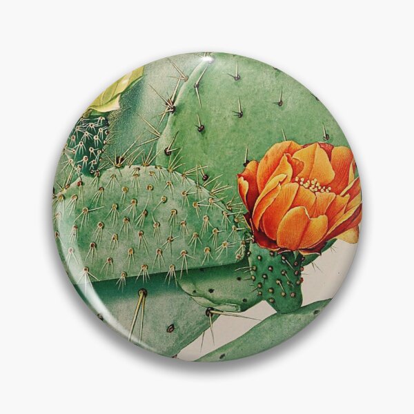 Item preview, Vintage botanical illustration - The Cactaceae - Britton and rose plate 34 designed and sold by Gardenlibrary.