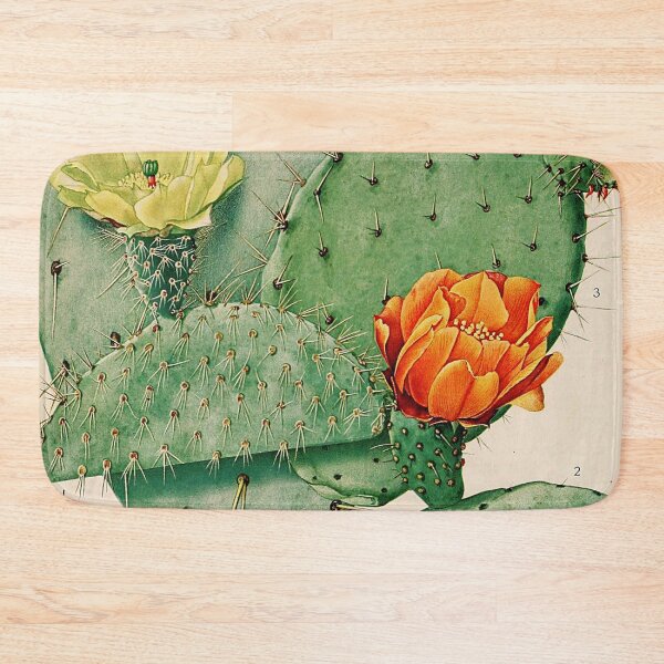Item preview, Vintage botanical illustration - The Cactaceae - Britton and rose plate 34 designed and sold by Gardenlibrary.