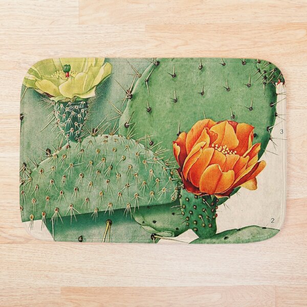 Item preview, Vintage botanical illustration - The Cactaceae - Britton and rose plate 34 designed and sold by Gardenlibrary.