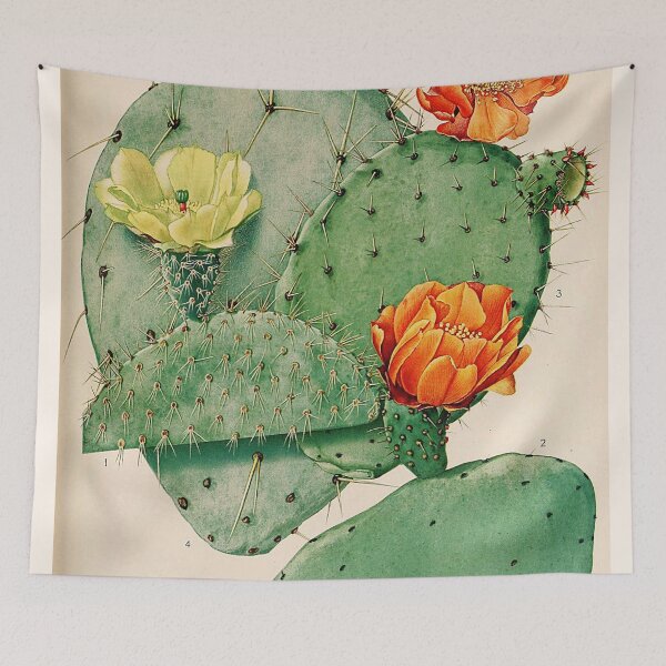Item preview, Vintage botanical illustration - The Cactaceae - Britton and rose plate 34 designed and sold by Gardenlibrary.