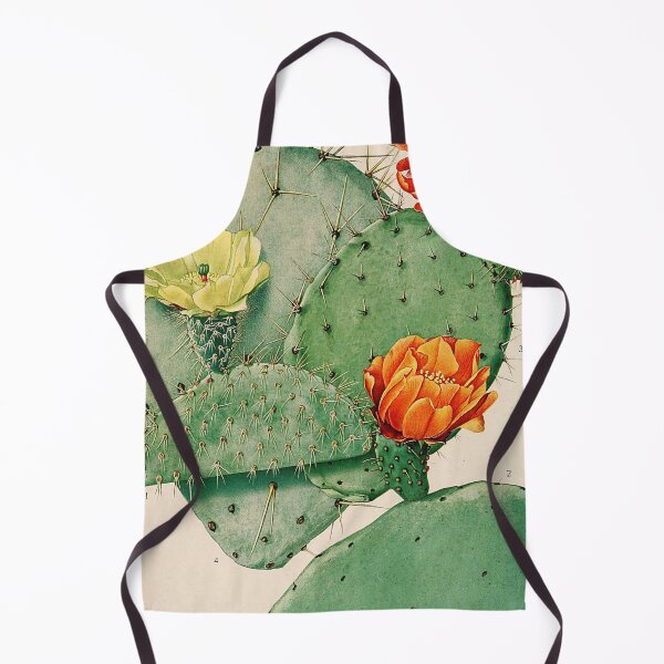 Item preview, Vintage botanical illustration - The Cactaceae - Britton and rose plate 34 designed and sold by Gardenlibrary.