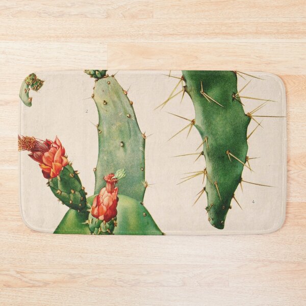 Item preview, Vintage botanical illustration - The Cactaceae - Britton and rose plate 4 designed and sold by Gardenlibrary.