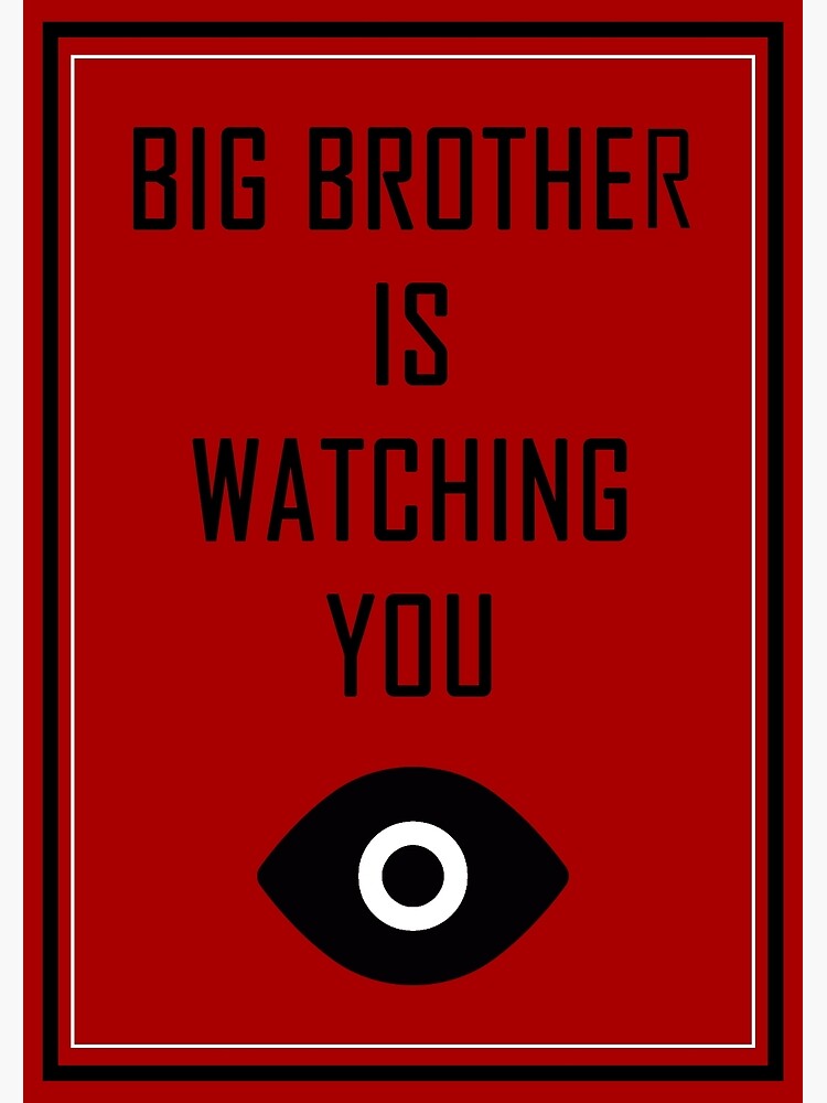 Big brother is watching you что это