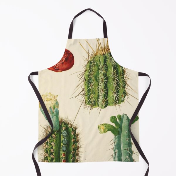 Item preview, Vintage botanical illustration - The Cactaceae - Britton and rose vol. II plate 4 designed and sold by Gardenlibrary.