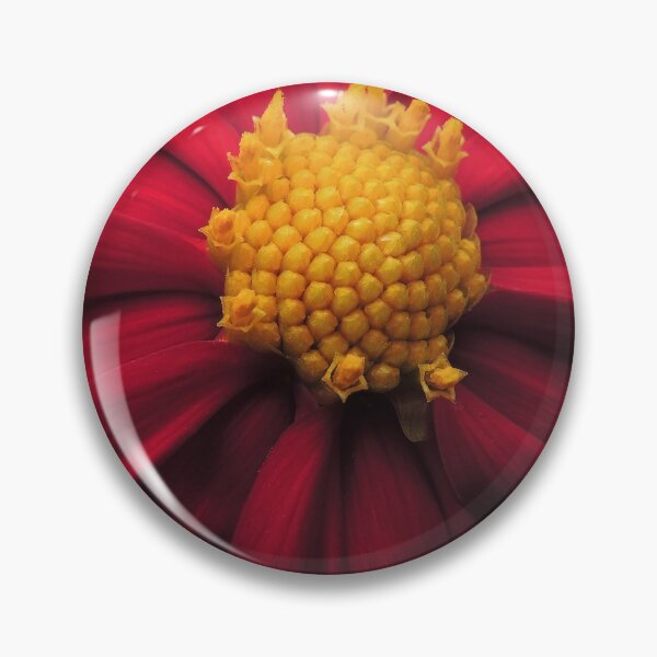Item preview, Dahlia 'Bishop of Auckland'  designed and sold by Marilyn Harris.
