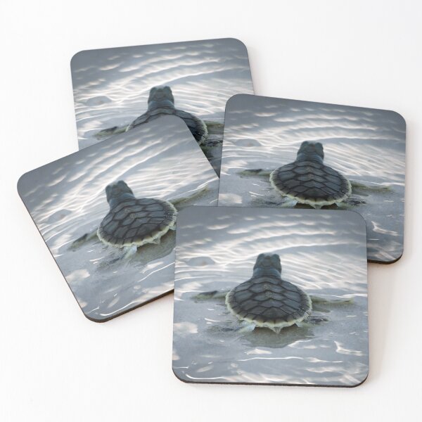 Item preview, Moonlight Hatchling by Kevin Smith designed and sold by RockpoolBroome.