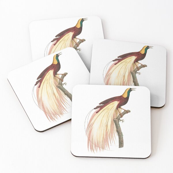 Item preview, Lesser bird-of-paradise designed and sold by Photopicture.