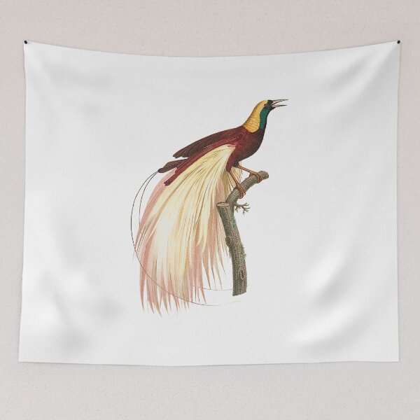 Item preview, Lesser bird-of-paradise designed and sold by Photopicture.