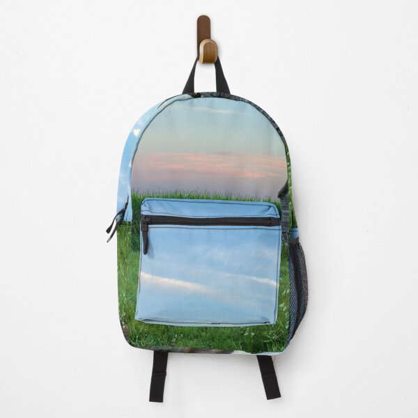 Item preview, Dougherty Rural School 3 designed and sold by LynyrdSky.