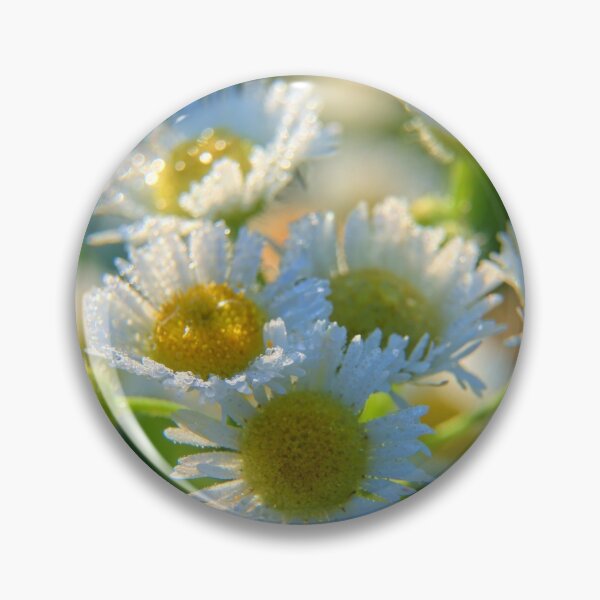 Artikelvorschau, Wildblumen bei Mayne 2 entworfen und verkauft von LynyrdSky.