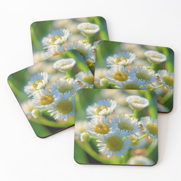 Item preview, Wildflowers At Mayne's 2 designed and sold by LynyrdSky.