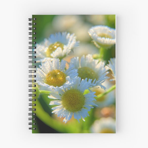 Artikelvorschau, Wildblumen bei Mayne 2 entworfen und verkauft von LynyrdSky.