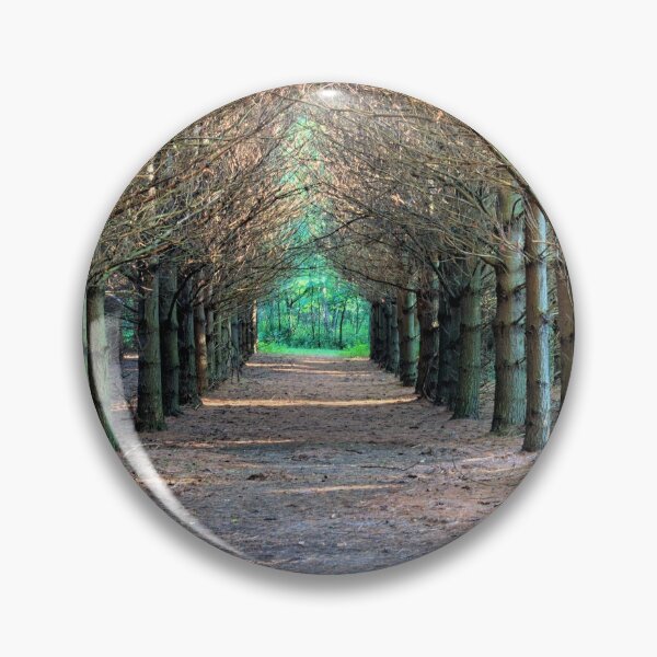 Item preview, The Pine Grove Of Maynes 2 designed and sold by LynyrdSky.