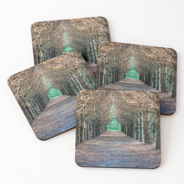 Item preview, The Pine Grove Of Maynes 2 designed and sold by LynyrdSky.