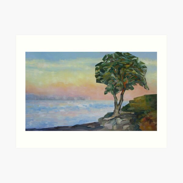 Evening and the Arbutus Tree Art Print