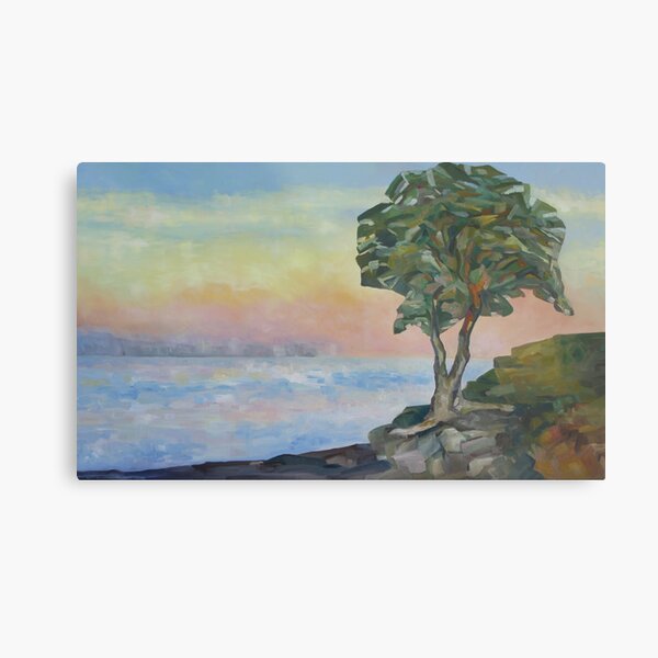 Evening and the Arbutus Tree Metal Print