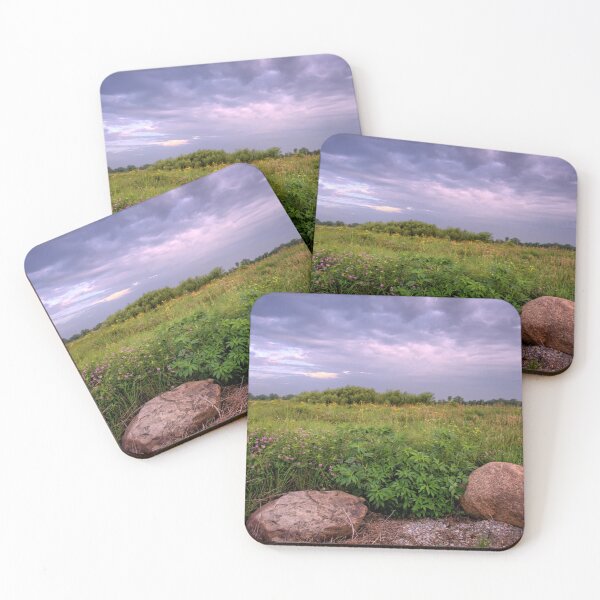 Item preview, Public Wetlands designed and sold by LynyrdSky.