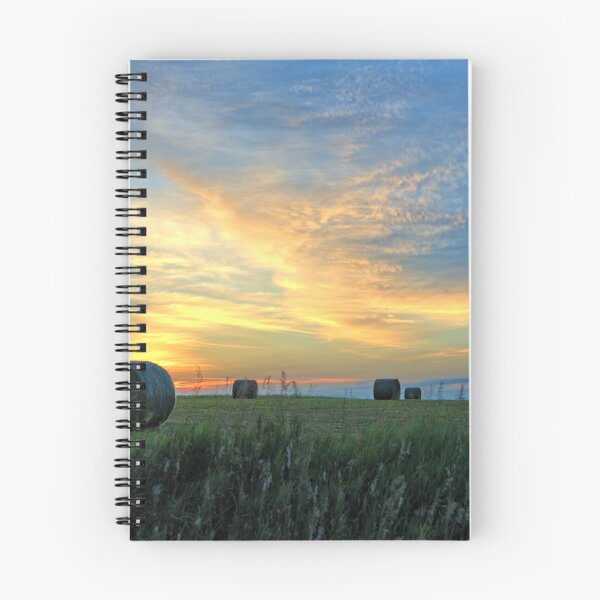 Item preview, DNR Sunrise Bales designed and sold by LynyrdSky.