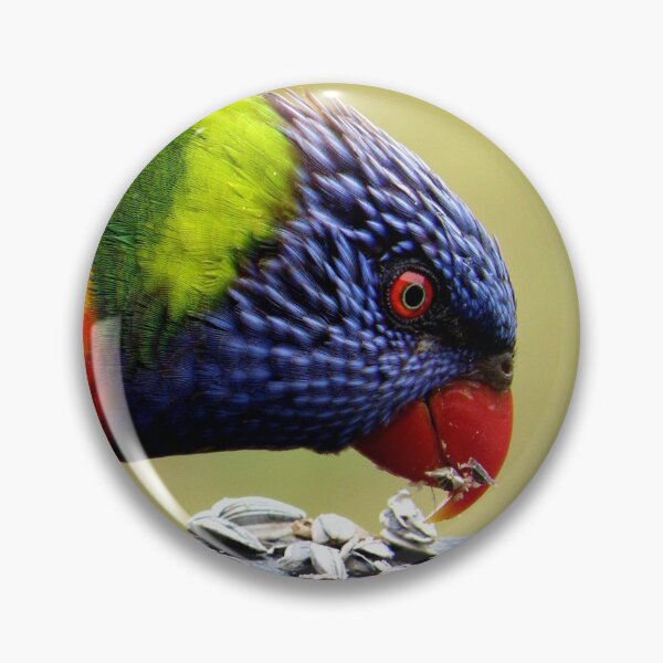 Item preview, Lorikeet australiano designed and sold by Manic-Spider.