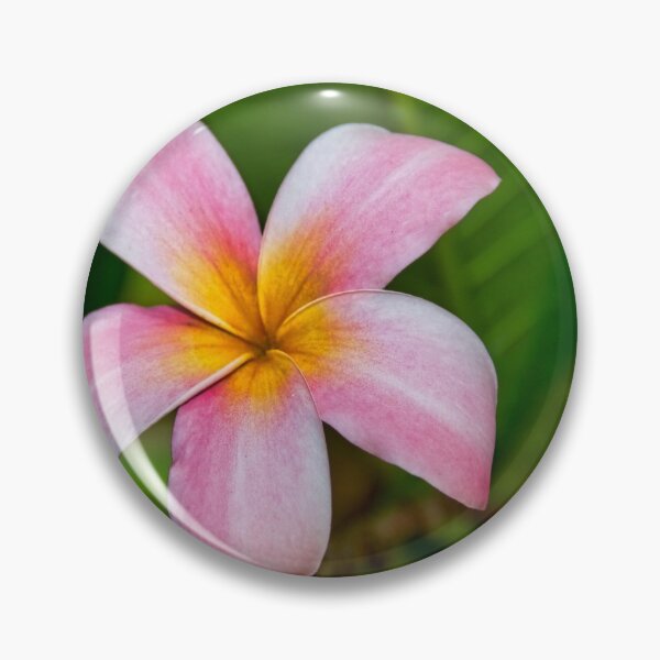 Item preview, Exotic Asian Flowers designed and sold by tpixx.